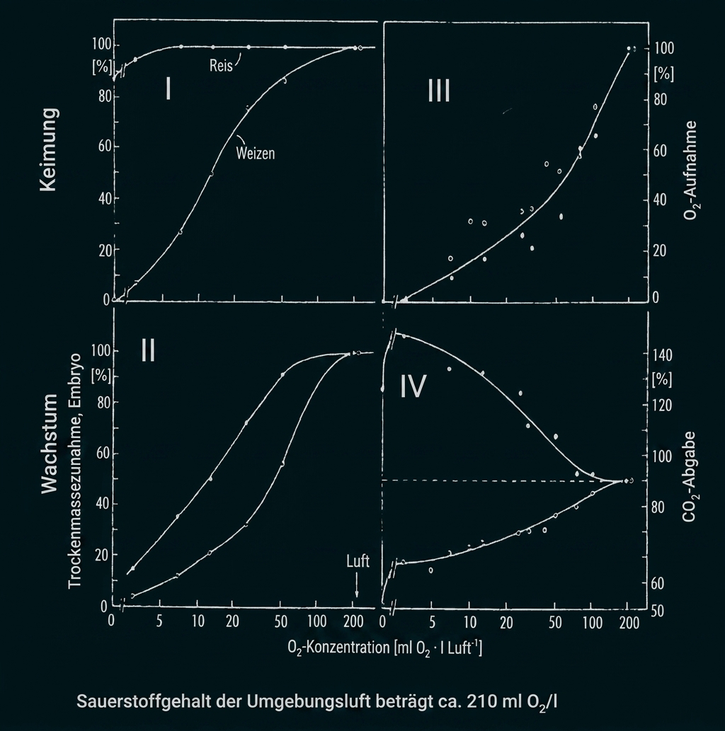 Vier Diagramme mit Kurven zu Keimung, Wachstum und Gasaufnahme/-abgabe bei verschiedenen Sauerstoffkonzentrationen